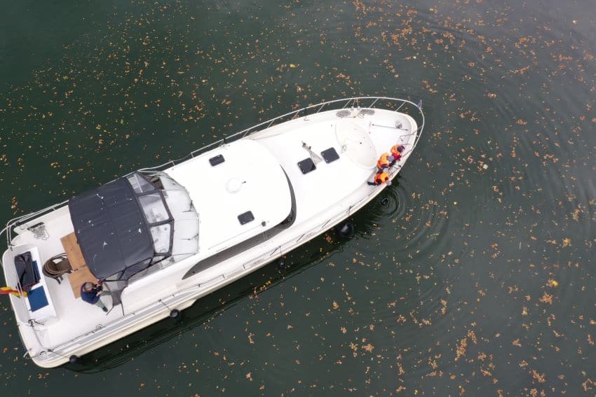 Herbstlaub umspielt die gemietete Motoryacht im smaragdtgrünen Wasser.